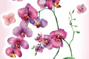 Декостикер Декоретто Акварельная орхидея